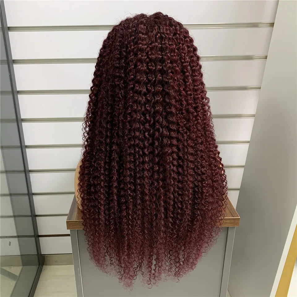 #30 Kinky Curly Wigs Brown 4x4 Lace Closure Wig T Lace Front Human Hair Wigs With Baby Hair Remy Preplucked HairUGo 180% Density